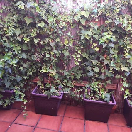 Bonito Piso Centro De Los Boliches 丰希罗拉 外观 照片